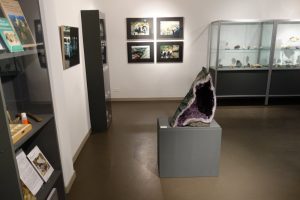 Blick in die Sonderausstellung 'Faszination Sammeln' im Stadtmuseum Cottbus