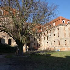 Wanderung vom Brühlschen Schloss nach Hohjeser